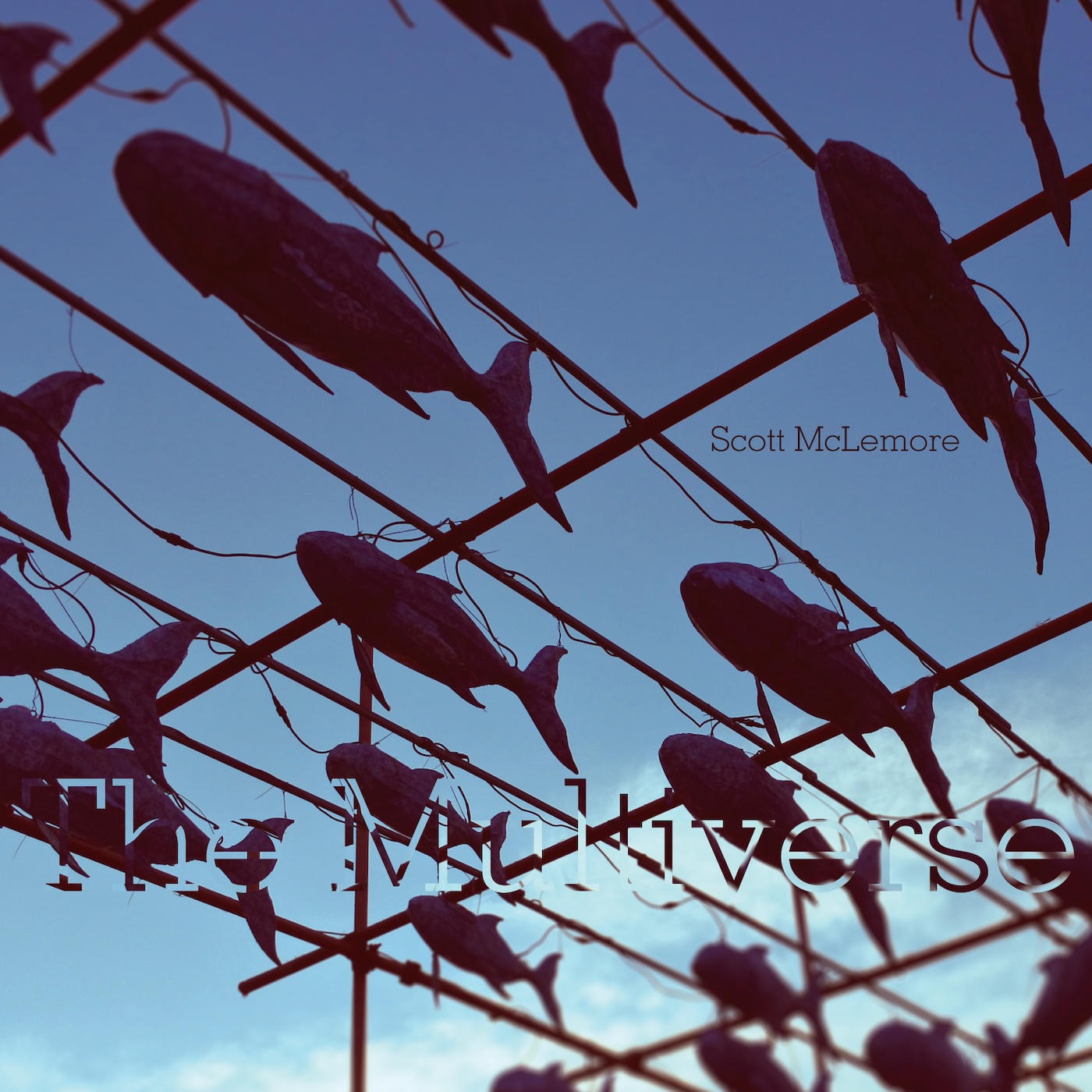 The Multiverse album cover